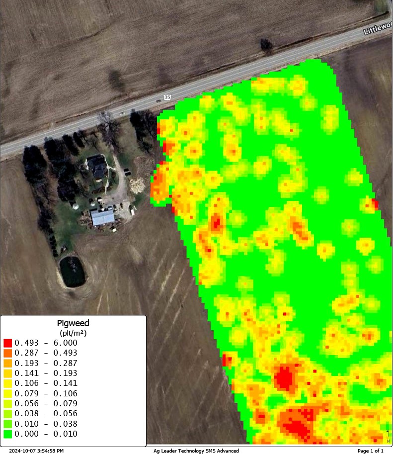 Aerial map of a farmland area overlaid with a computer-generated weed density map, showing patches of red, orange, yellow, and green to indicate varying concentrations of pigweed plants per square metre. A legend in the bottom left corner ranges from 0.000 (dark green) to 6.000 (red) pigweed plants per square metre. The map was generated using computer vision and AI to support targeted herbicide applications. A road labeled “Littlewood” and rural buildings are visible along the top left corner of the field.