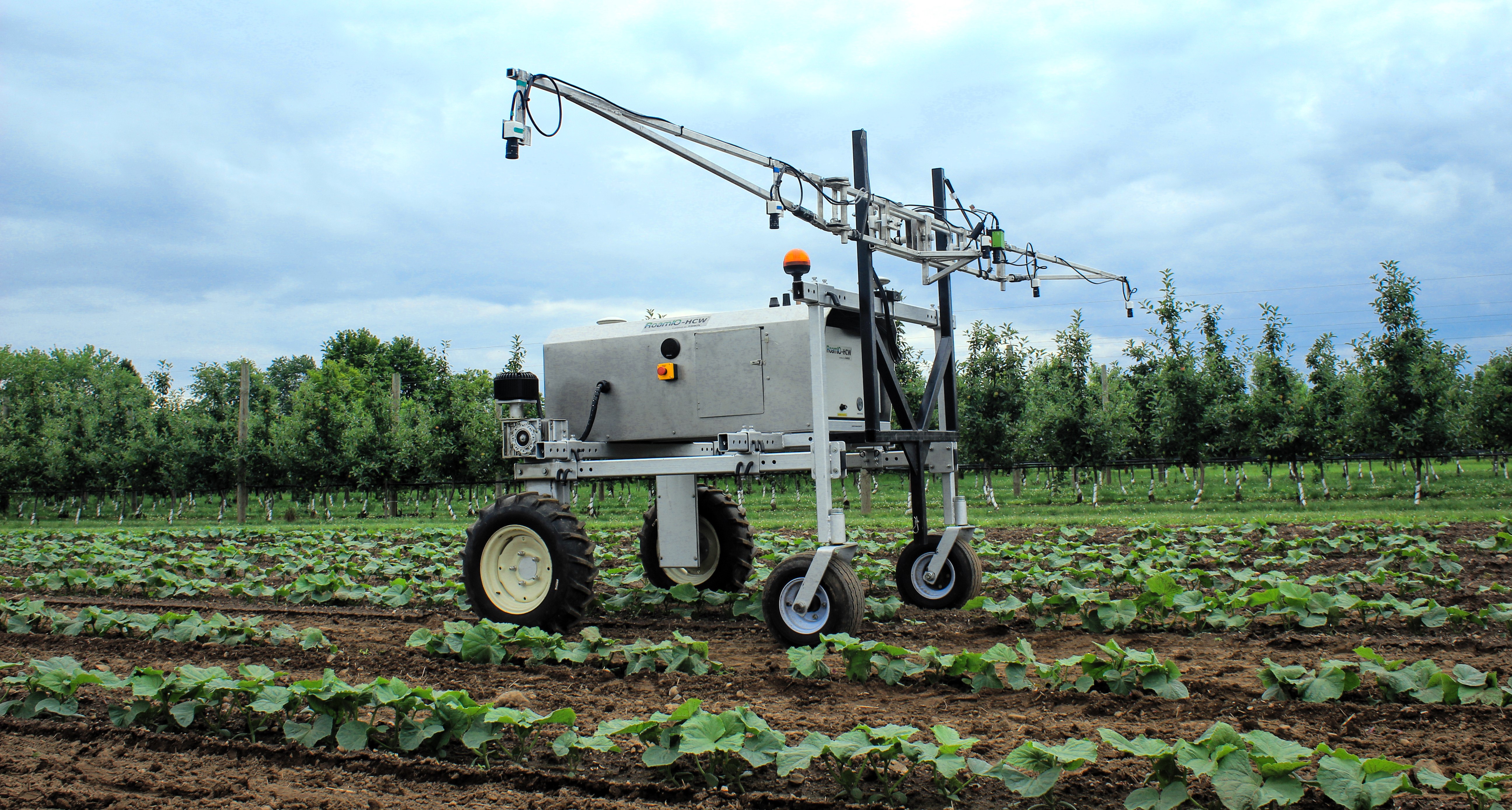 An autonomous agricultural robot with wide wheels and a long, horizontal sensor arm moves through rows of young green crops on a research farm. The robot is equipped with cameras, tubing, and mechanical arms, used for field scouting and precision spraying. In the background, a row of evenly spaced orchard trees stands beneath a cloudy sky