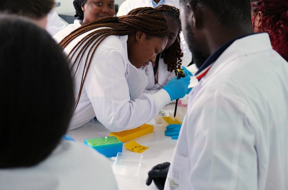A scientist in a white lab coat and blue gloves uses a test tube and other equipment while fellow scientists look on.