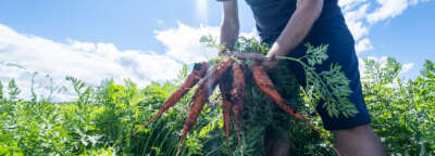 Ontario Agriculture Week Highlights U of G’s Innovation Leadership