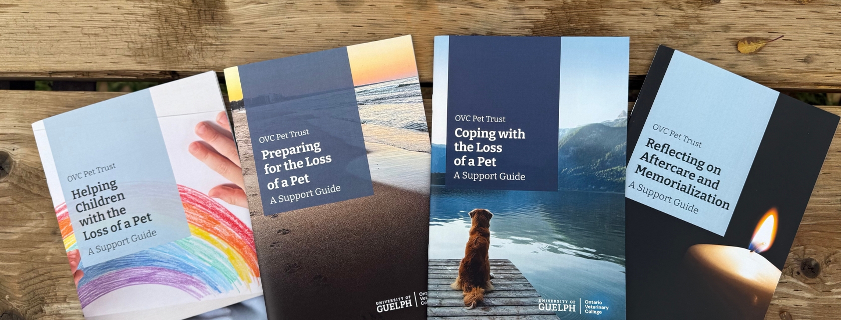 New Pet Loss and Grief Resources Launched by OVC Pet Trust