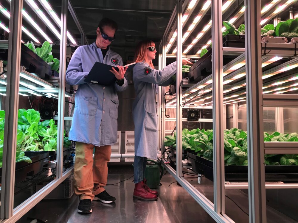 Two researchers wearing blue lab coats and safety glasses work among rows of leafy greens under bright LED lights in a controlled-environment farm. One takes notes on a clipboard while the other tends to plants on metal racks.