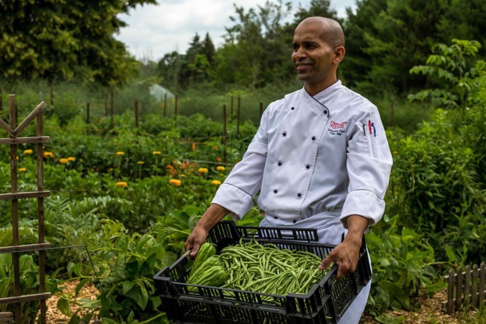 A chef in a white uniform stands in a lush vegetable garden, holding a large black crate filled with freshly picked green beans. Rows of plants and yellow flowers stretch into the background beneath a cloudy sky.