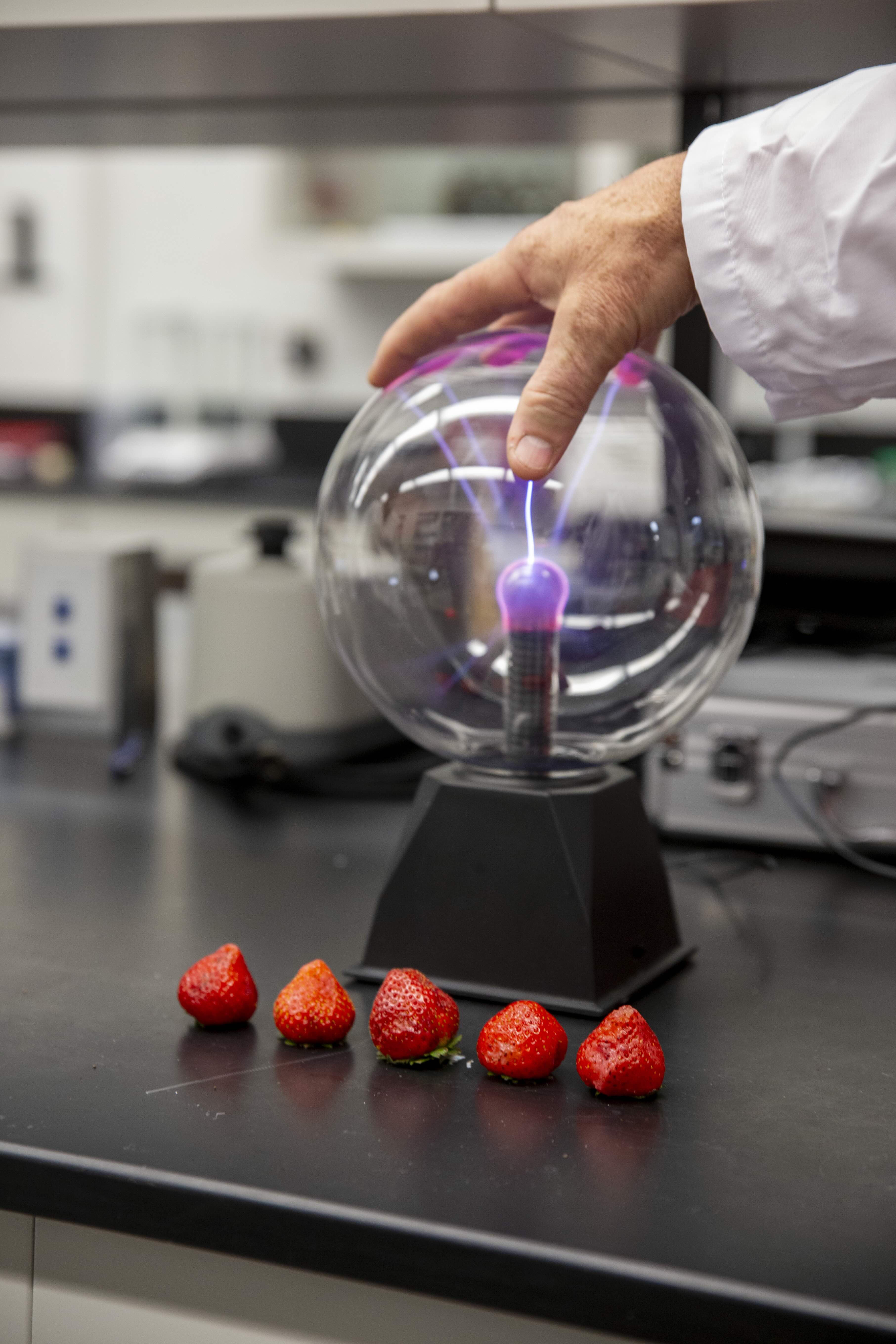 Hand touches plasma globe beside row of strawberries.