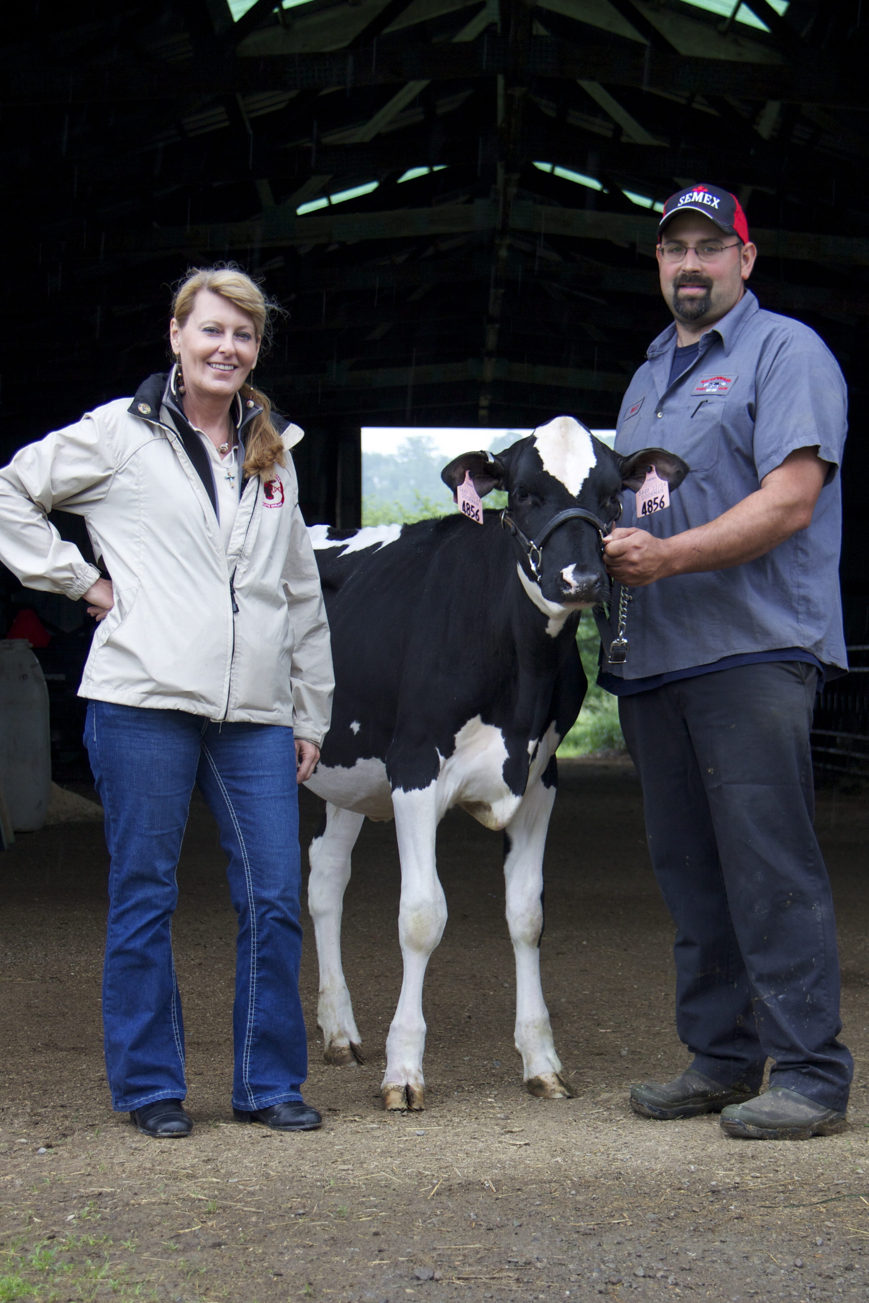 A woman and a man stand inside a barn holding a black-and-white dairy calf on a lead, with farm equipment and stalls behind them.