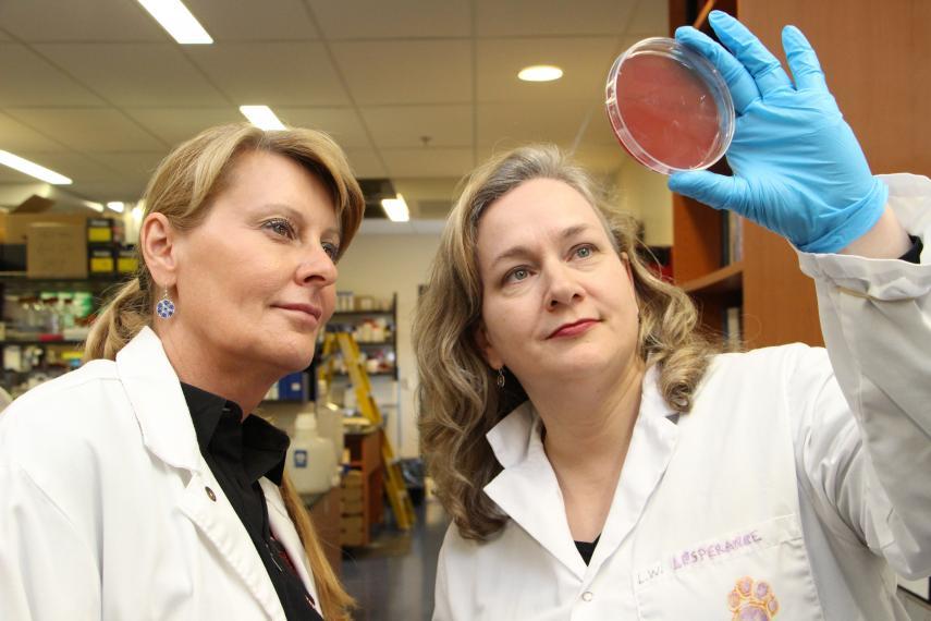 A woman in a lab coat and blue gloves holds up a petri dish while another woman looks on, inside a research lab with shelves and lab equipment behind them.