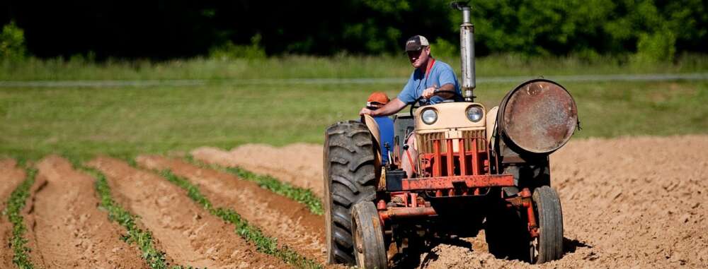 a red tractor in a field of crops