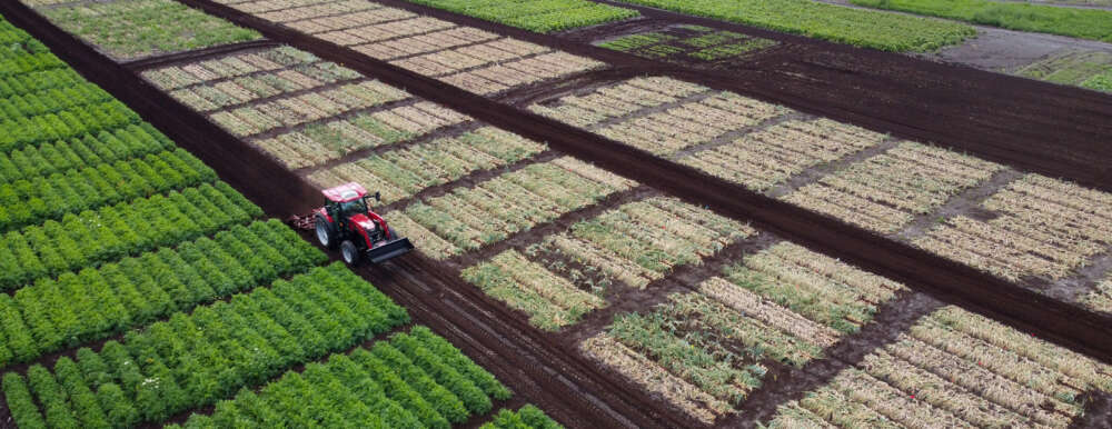 A drone view of a research plot at the crops research centre in Bradford