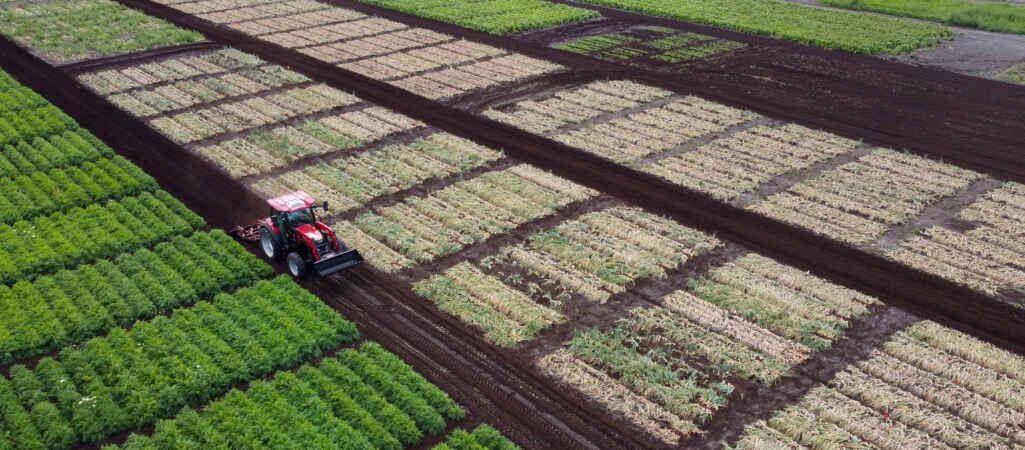 In Carney’s New World Order, Canada’s Opportunity Is as a Breadbasket | OPINION