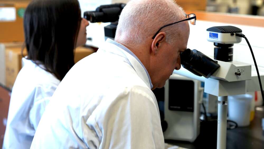 Researchers in a lab peer through a microscope
