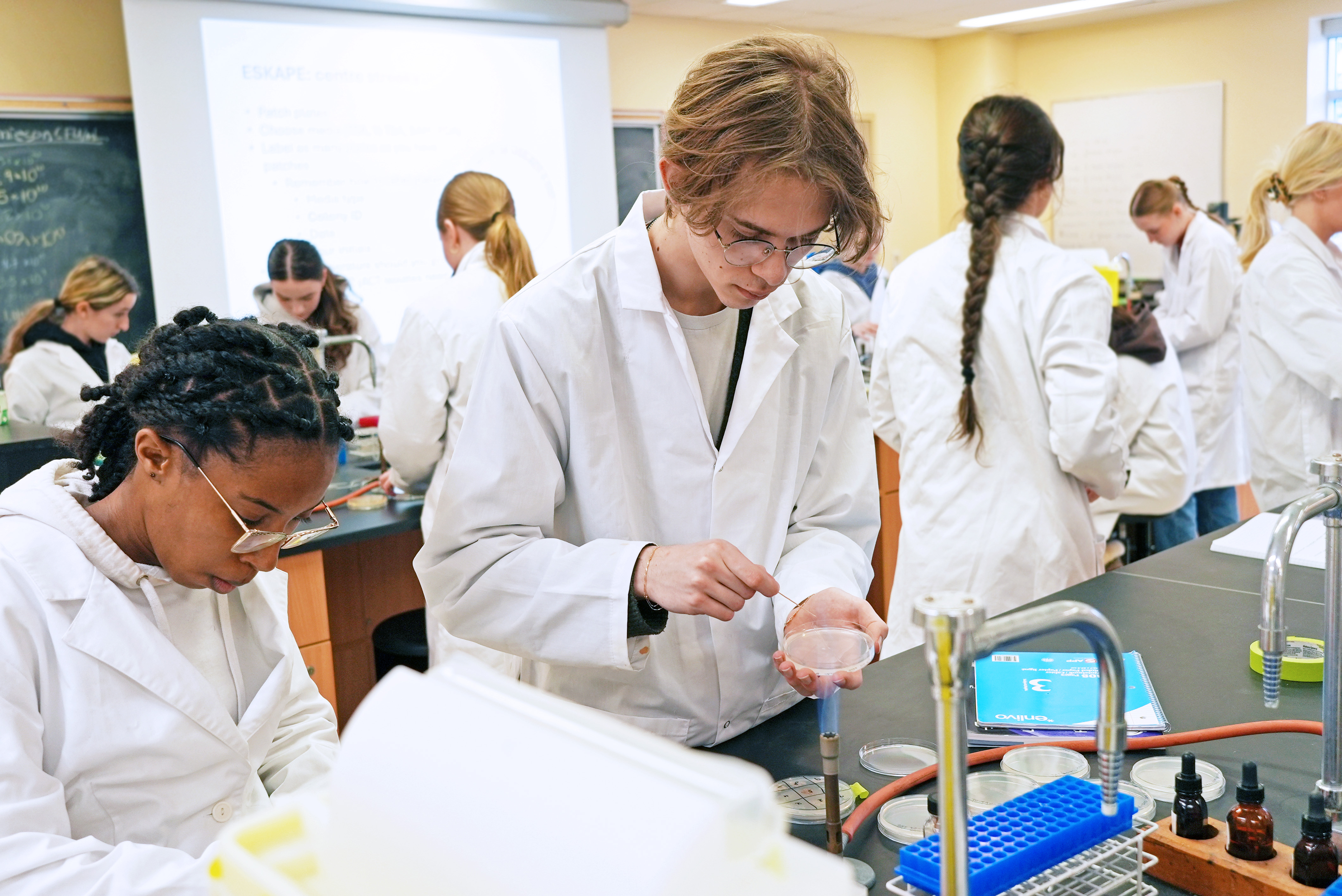 Student swabs samples in a lab bench against instructional lab setting, many students working behind