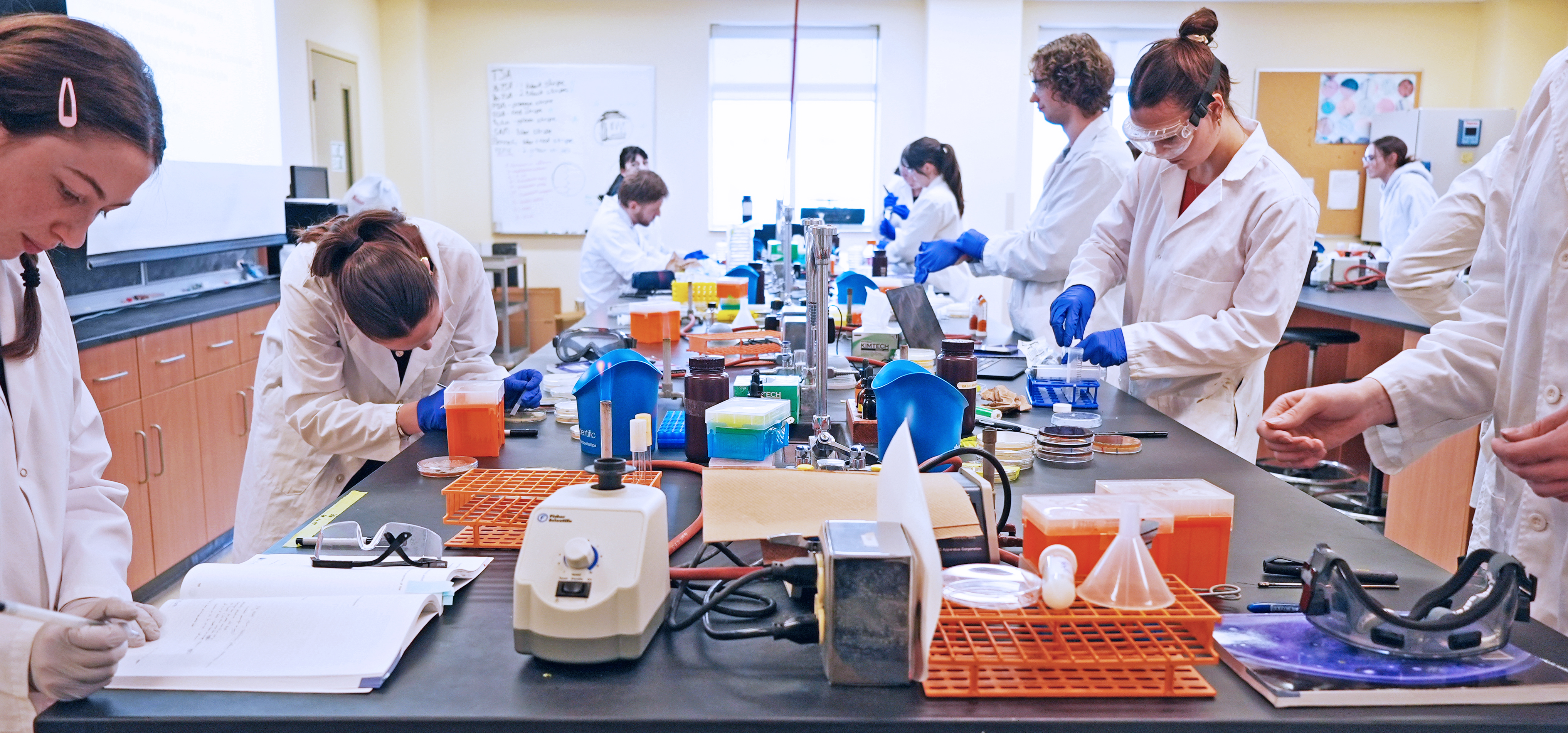 Students and instructors stand together in a laboratory space, wearing lab coats and conducting various experiments