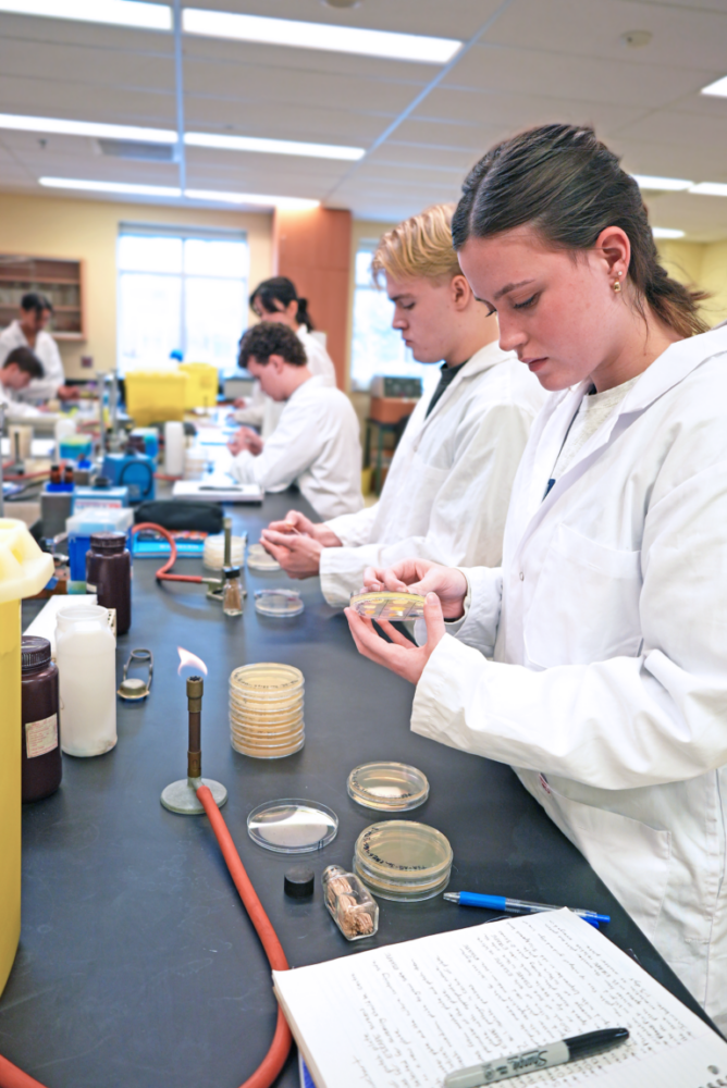 Group of students work in an instructional lab based setting with various materials like agar dishes