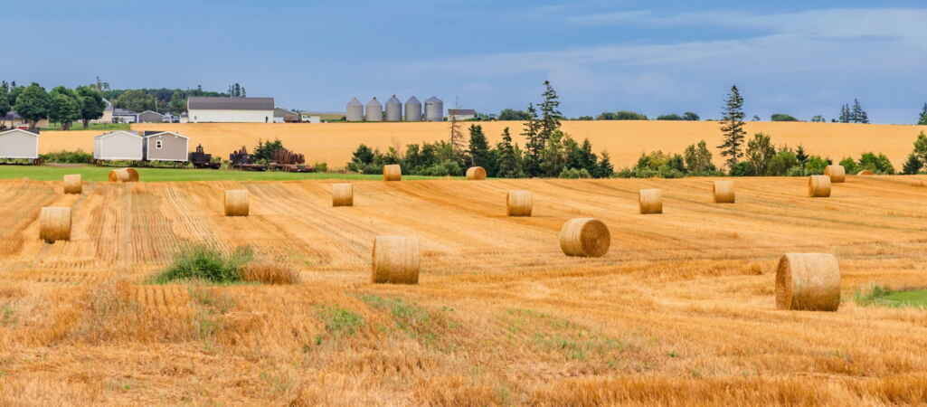 We Can't Have National Security Without Food Security. Can Canada Achieve Both? | OPINION