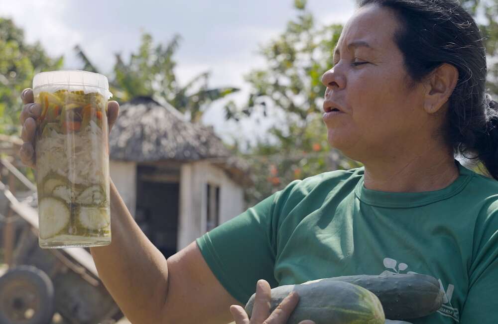 A female farmer with brown hair in a ponytail wearing a green t-shirt holds cucumbers in one hand while looking at a clear plastic container of other produce.