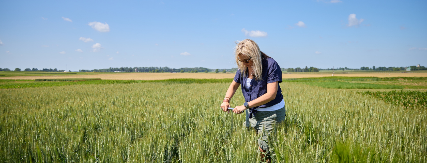 Researcher dressed in blue collar shirt and sunglasses samples soil on a green field