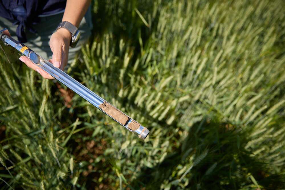 Researcher holds a long metal device that has a notch for soil sample