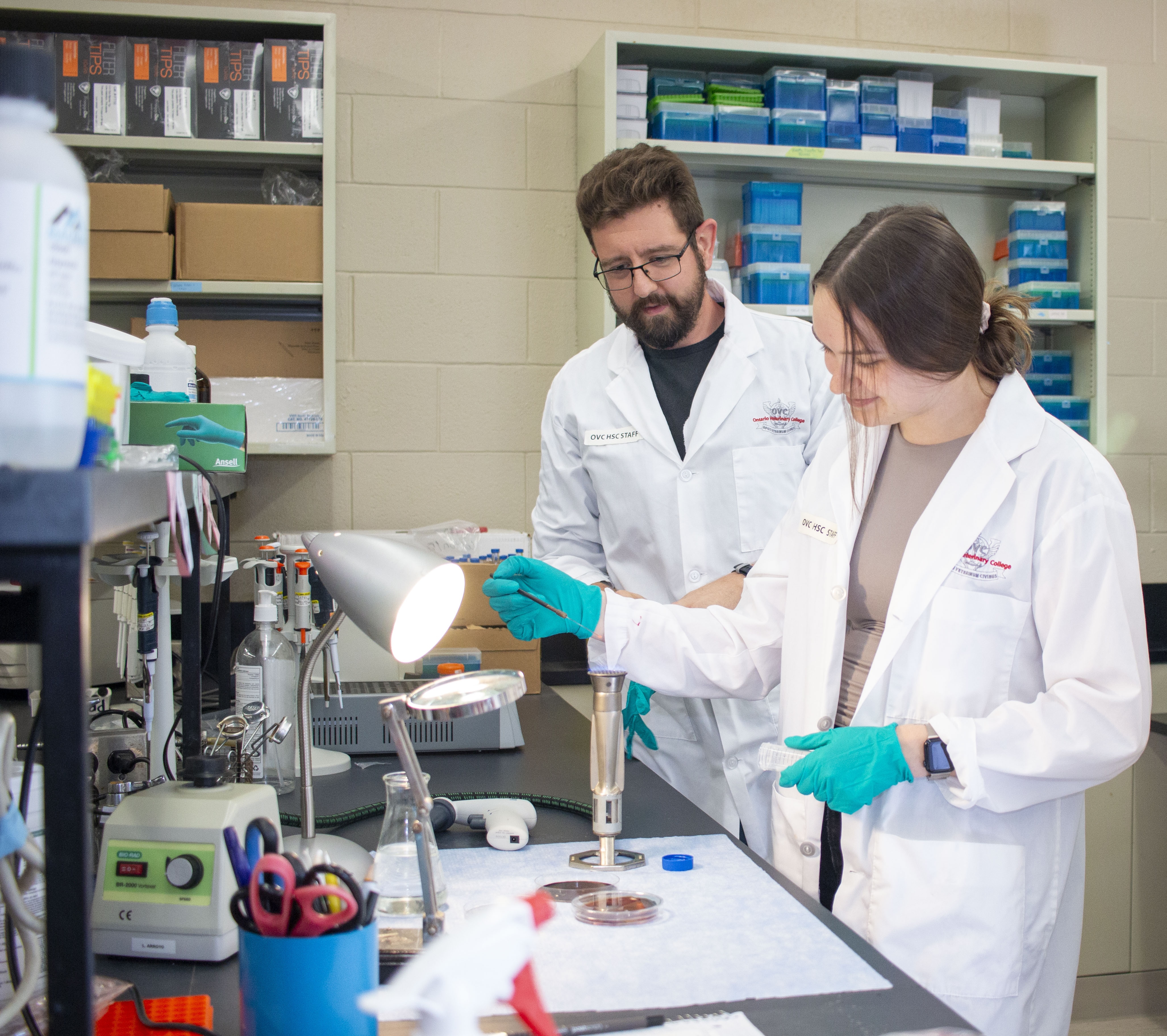Two students working in a laboratory setting