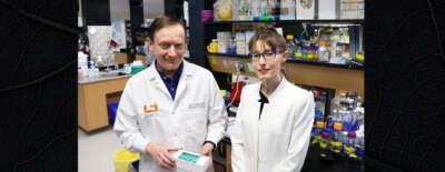 Lyme Disease Research at University of Guelph Reaches Pivotal Milestone