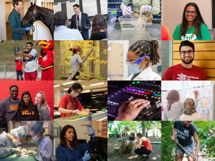 A collage of photos of different experiential learning opportunities, such as working with a horse, a person with a labcoat and a mask, a person with the Gryphon mascot, and more.