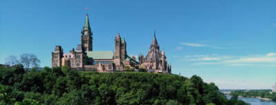 Expert Available: MP Crosses Floor to Join Liberals 