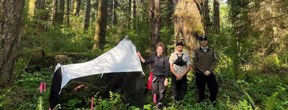 three people stand in the forest by a tent structure