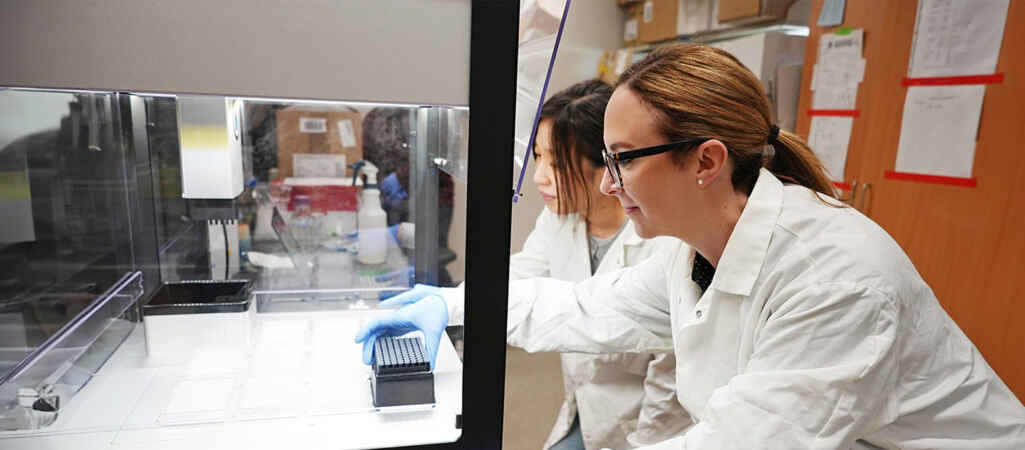 Researchers Identify Natural Compound That Disarms Drug-Resistant Bacteria