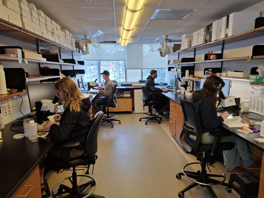 workers in chairs look at microscopes in a lab