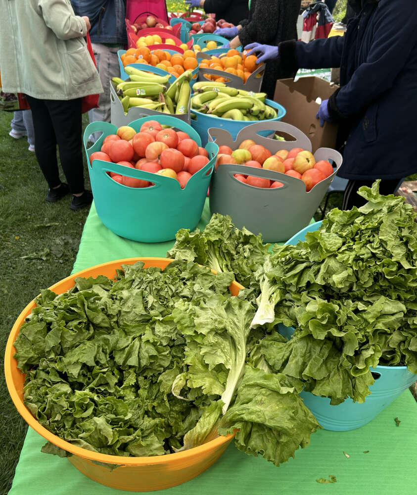 Plastic bins filled with produce on a table at an outside market