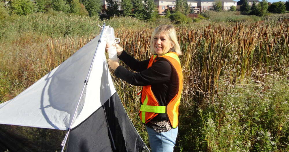 person holds a bottle attached to a tent structure