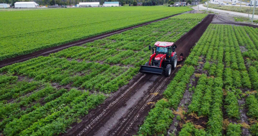 a red tractor moves between rows of plants over dark rich soil
