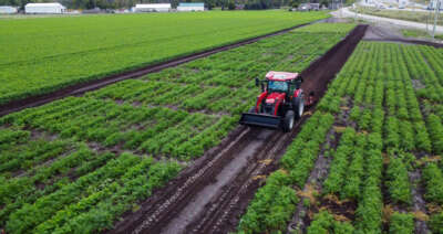 What Excites U of G Researchers About Canada’s Food Future