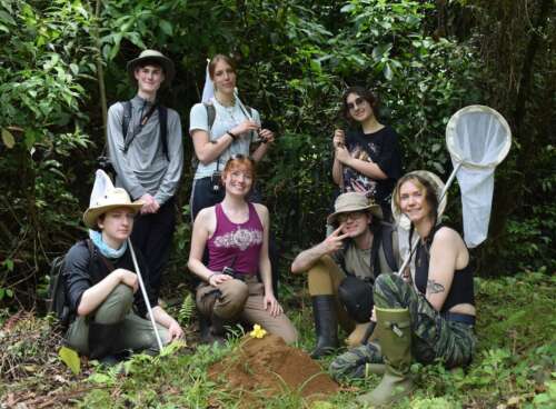 A group of seven people wearing dark colours and hats, holding insect nets sit and stand in two rows in the forest.
