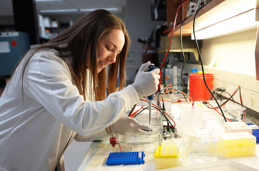 A person in a lab uses a pipette device