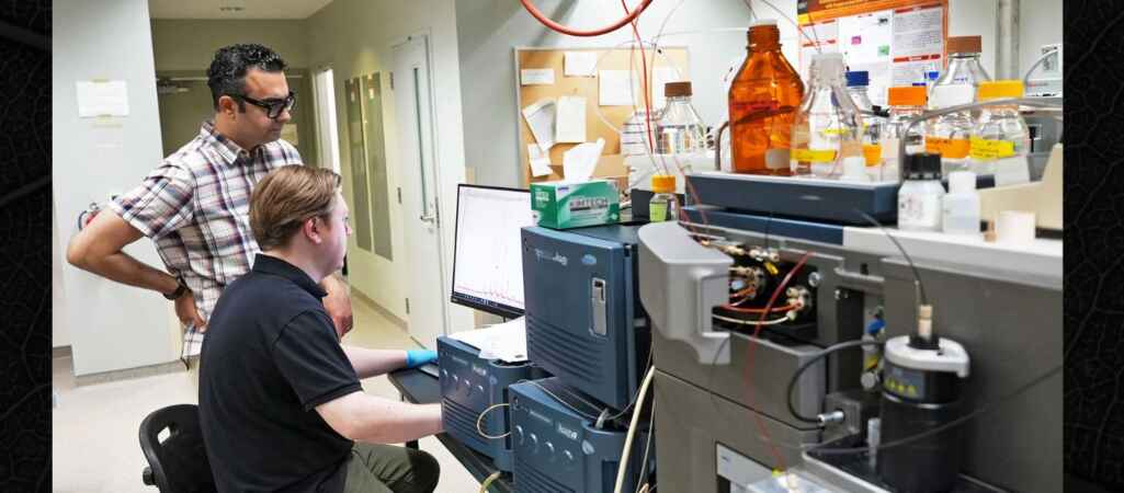 U of G Researchers Identify Potential Drug Target in Tuberculosis Stress-Response System