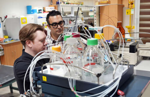 A person with short brown hair wearing a black polo shirt stands beside a person with short dark hair wearing black glasses and a white plaid shirt in front of lab equipment.
