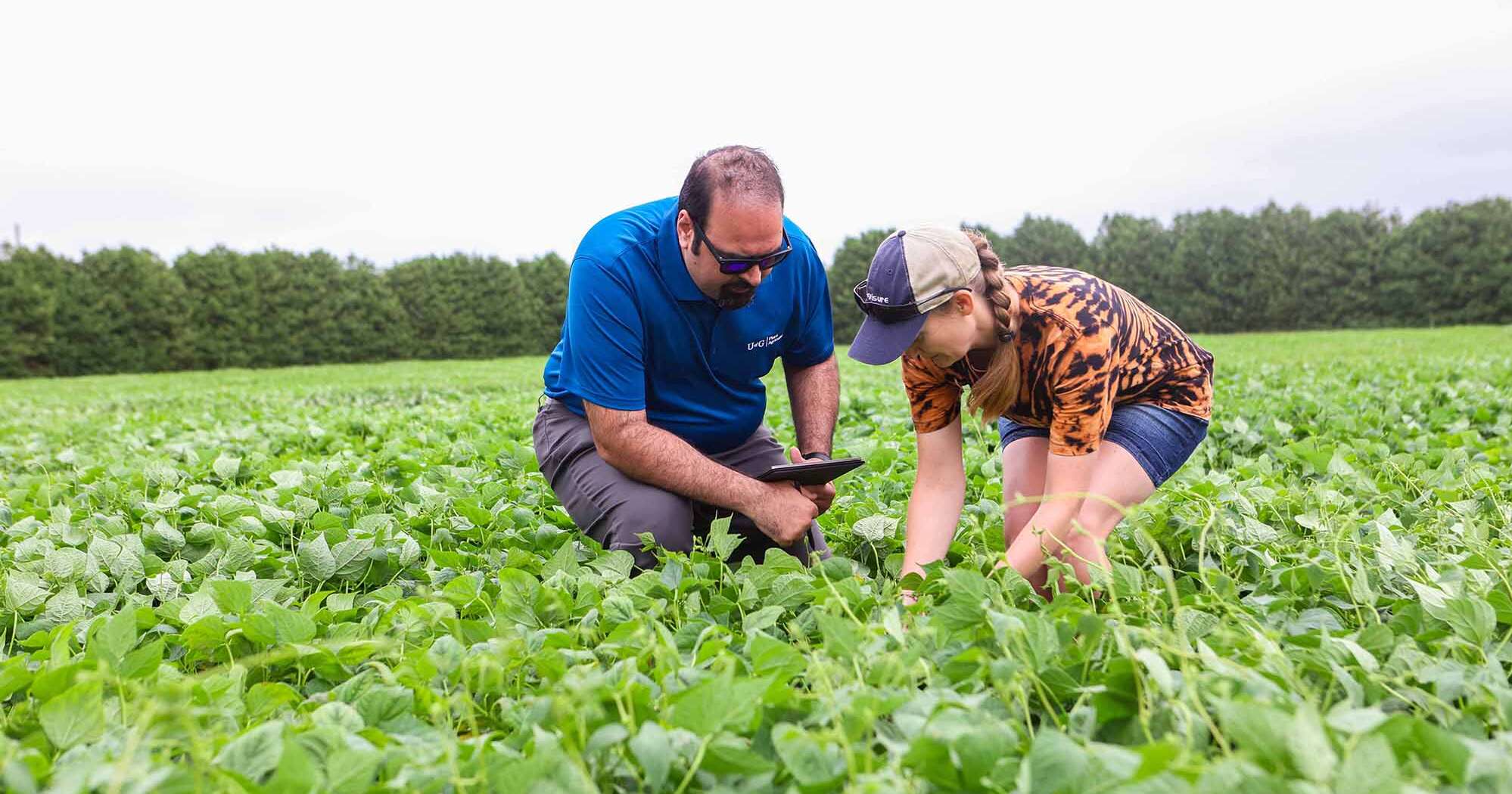 https://news.uoguelph.ca/wp-content/uploads/2026/05/cropped-UofG-Mohsen-investigates-field.jpg