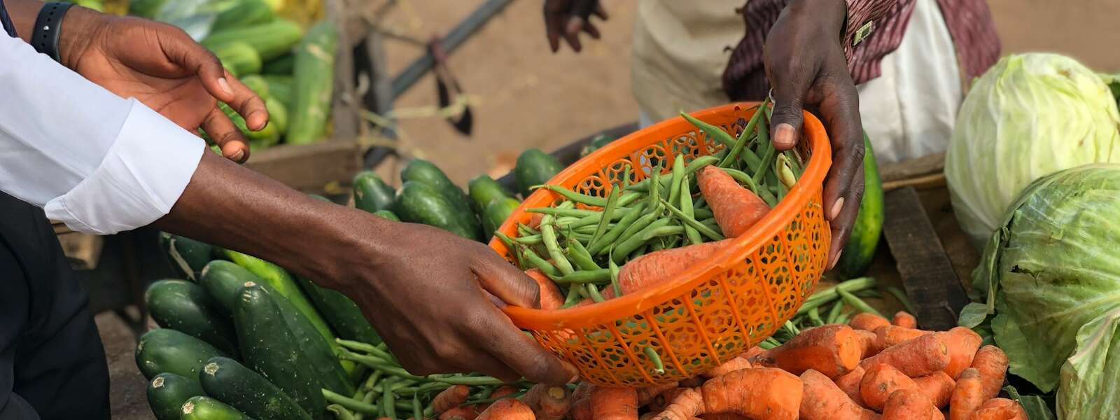 'Cautiously Optimistic': Canada’s Agri-Food Sector Requires Coordinated Approach to AI