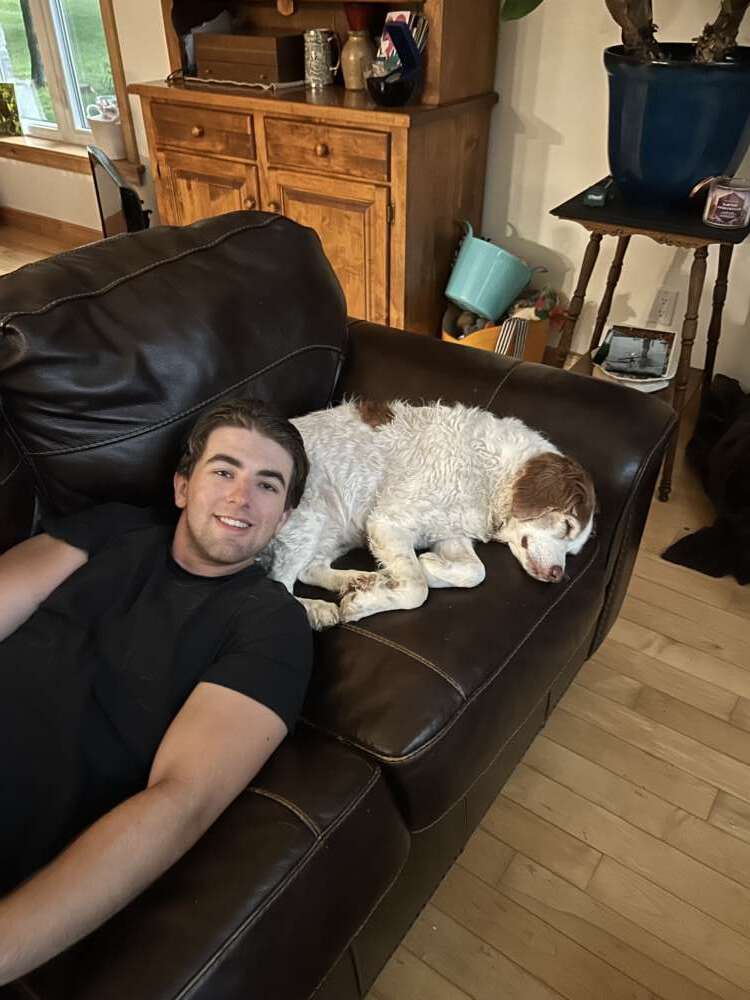 person lies on leather couch with brown and white dog by his head