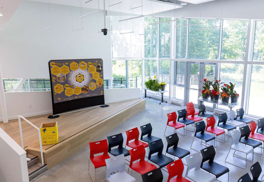Bright education space with large windows filled with red and black chairs