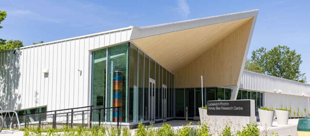 Campus Buzz: New Honey Bee Research Centre Opens at U of G 
