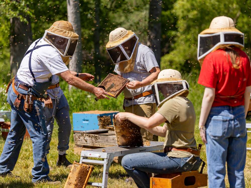 people wearing nets over their faces handle beehives