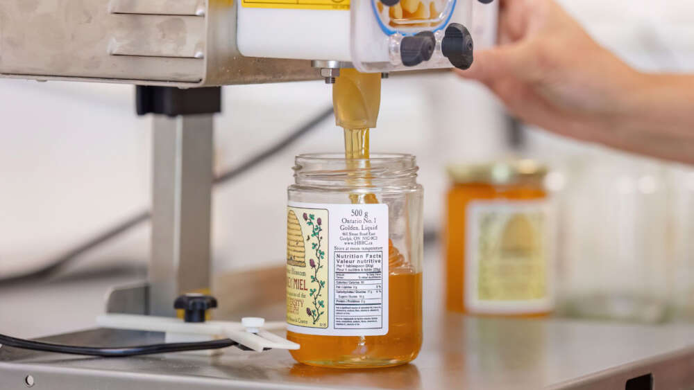 machine pours amber liquid into a glass jar