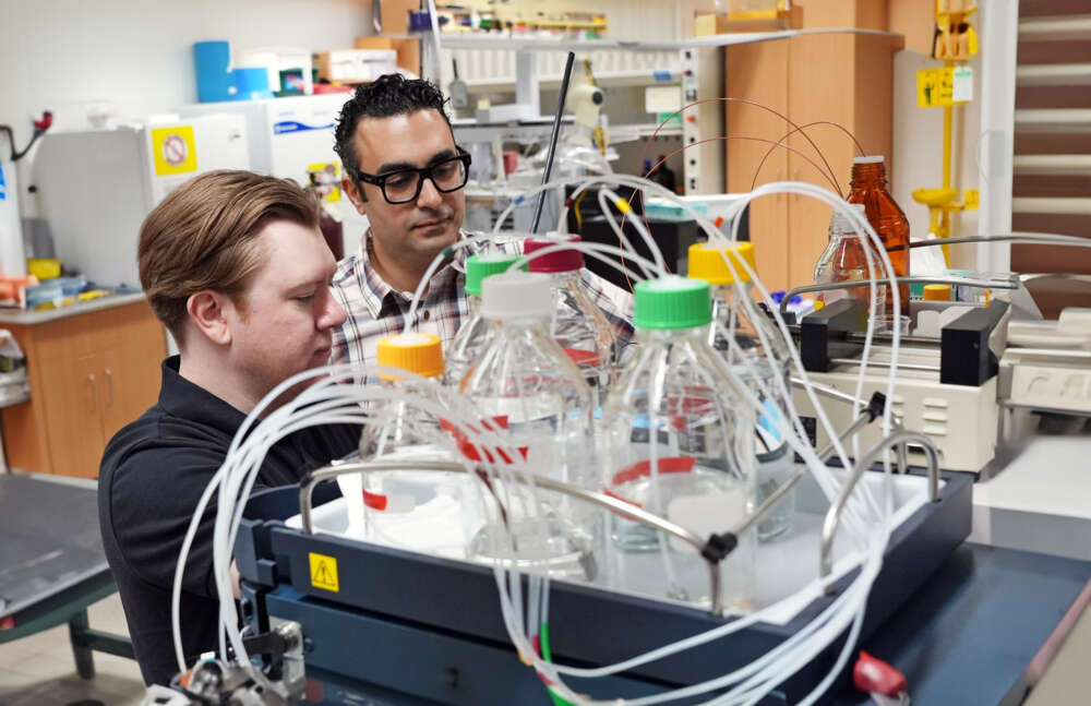 A person with short brown hair wearing a black polo shirt stands beside a person with short dark hair wearing black glasses and a white plaid shirt in front of lab equipment.