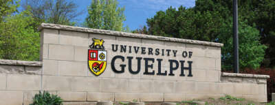 Eight Researchers Honoured with U of G Research Excellence Awards