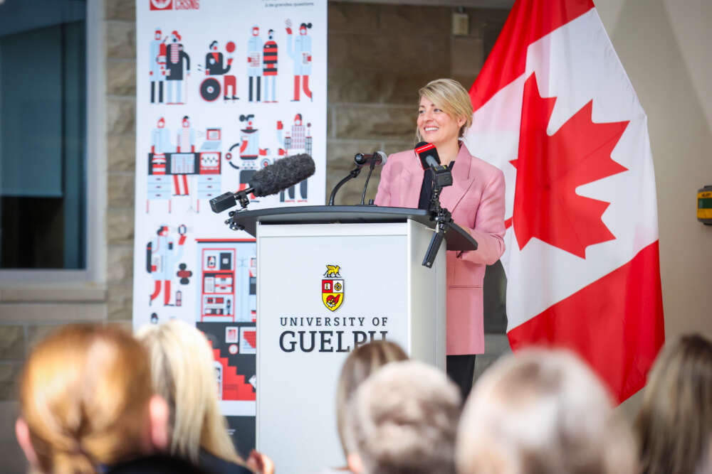 person in pink blazer speaks at a podium in front of a red and white flag