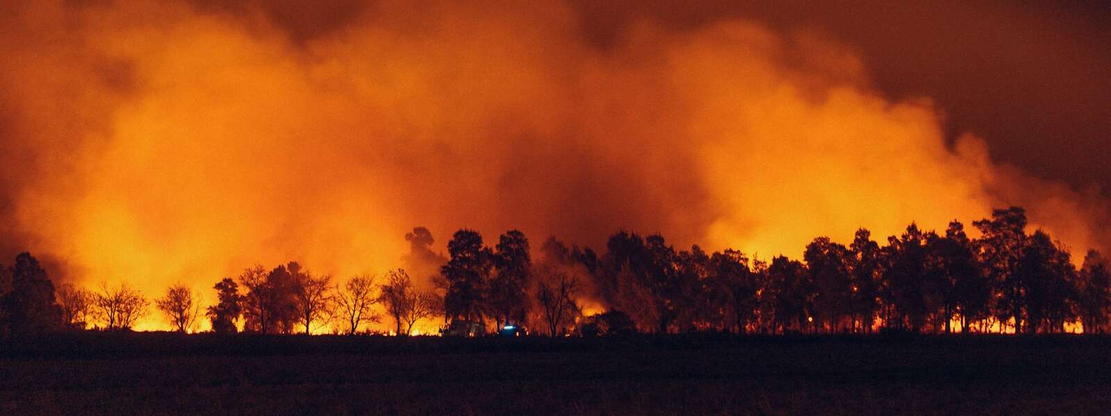 Expert Available: Northern Ontario Wildfires