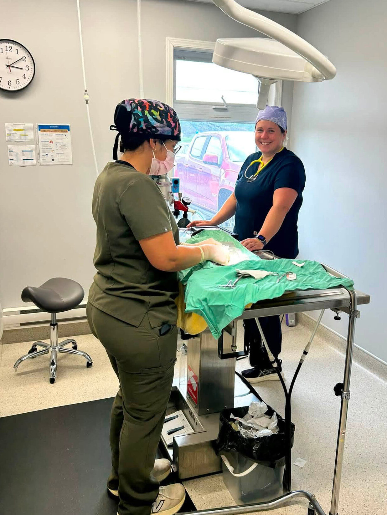 two people in surgical scrubs work on an animal on a vet office table