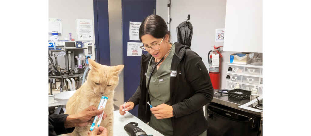 OVC Brings Help to Pets During Northern Ontario Wildfire Evacuations