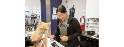 OVC Brings Help to Pets During Northern Ontario Wildfire Evacuations